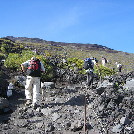 List of component parts/constituent elements fujisan world ...